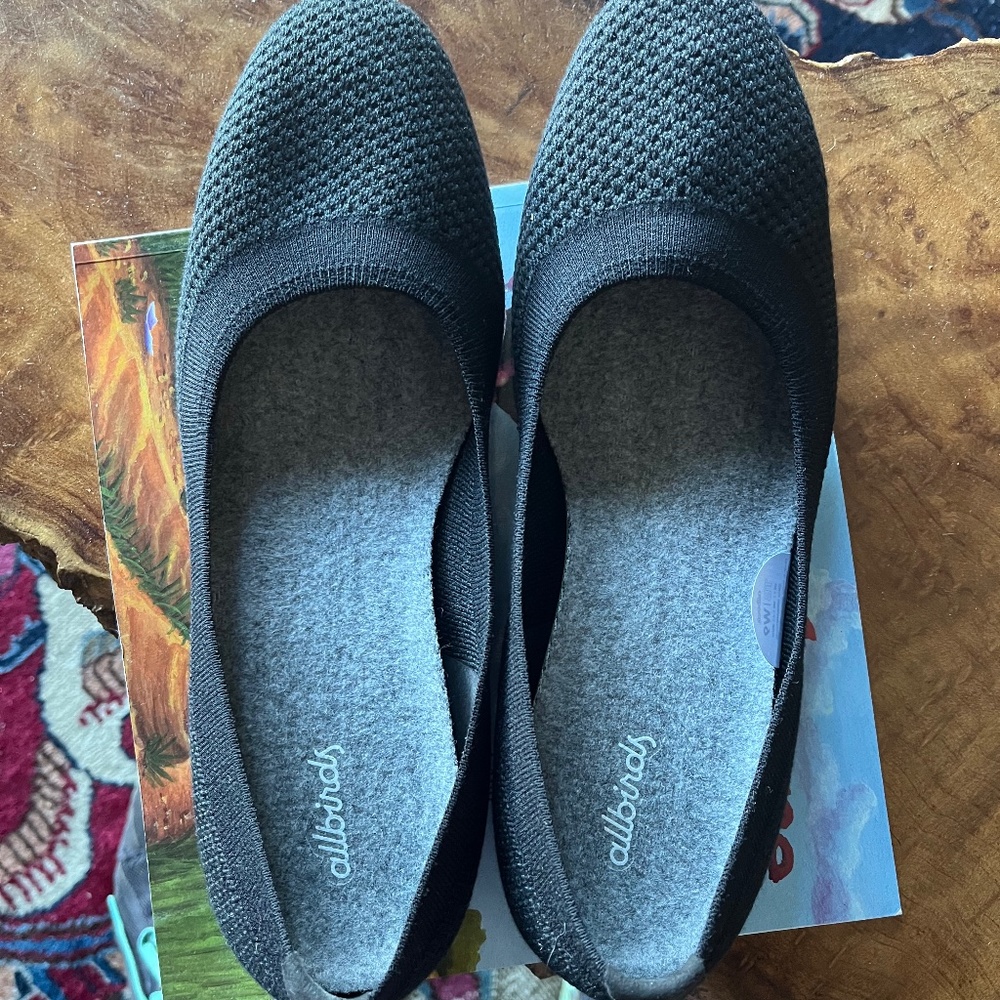 Allbirds Treebreezers 9W